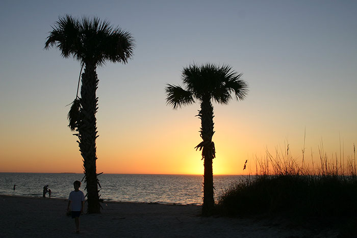 Palm trees silhouetted against a sunset over the ocean, showcasing US states glorified in movies.
