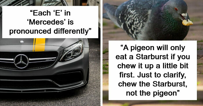 47 Random Facts People Somehow Memorized Forever