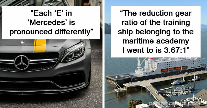 47 Random Facts People Somehow Memorized Forever