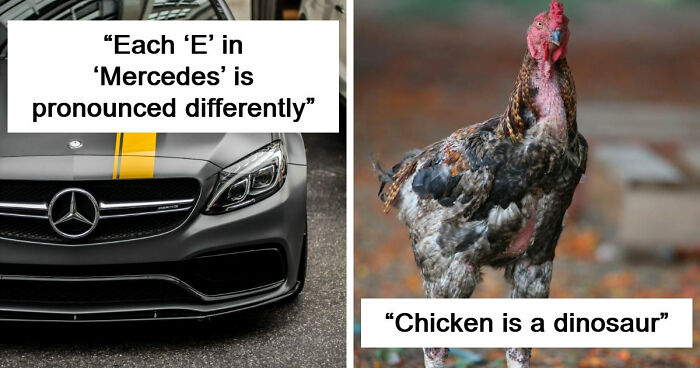 47 Random Facts People Somehow Memorized Forever
