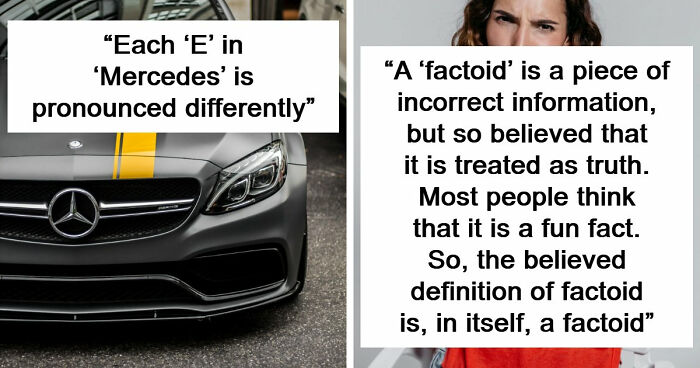 47 Random Facts People Somehow Memorized Forever