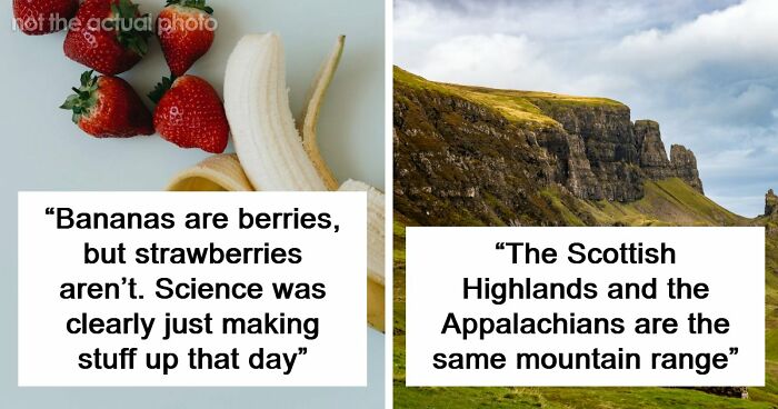 47 Random Facts People Somehow Memorized Forever