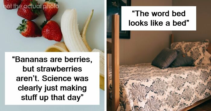 47 Random Facts People Somehow Memorized Forever