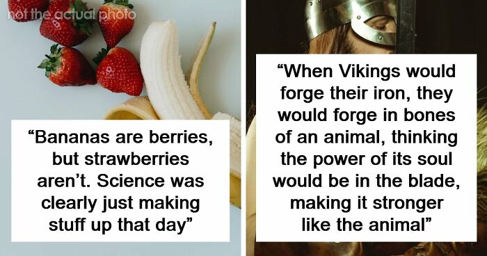 47 Random Facts People Somehow Memorized Forever