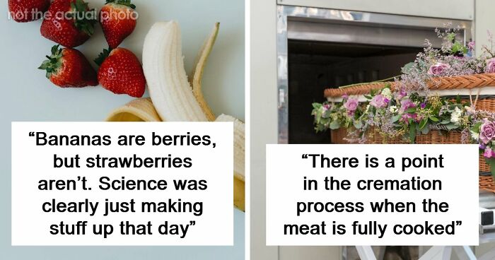 47 Random Facts People Somehow Memorized Forever
