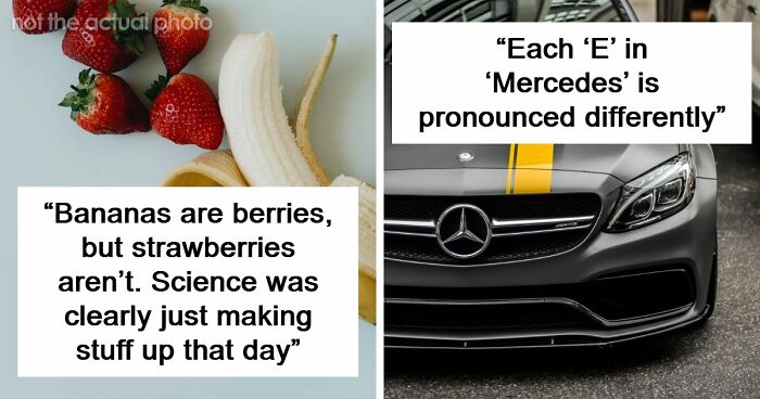 47 Random Facts People Somehow Memorized Forever