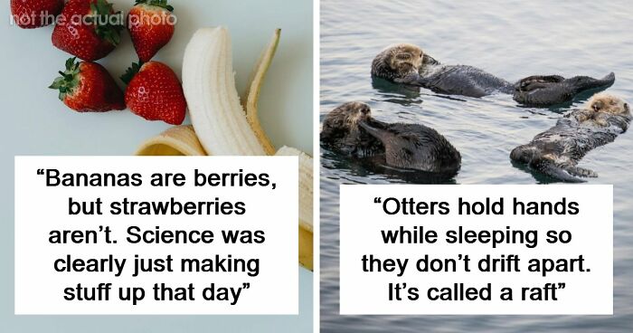47 Random Facts People Somehow Memorized Forever