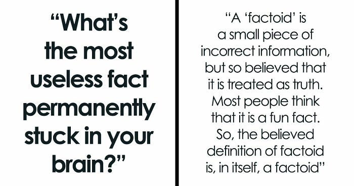 47 Random Facts People Somehow Memorized Forever