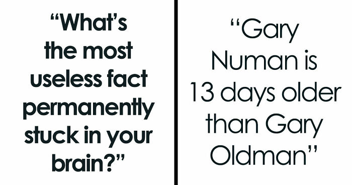 47 Random Facts People Somehow Memorized Forever