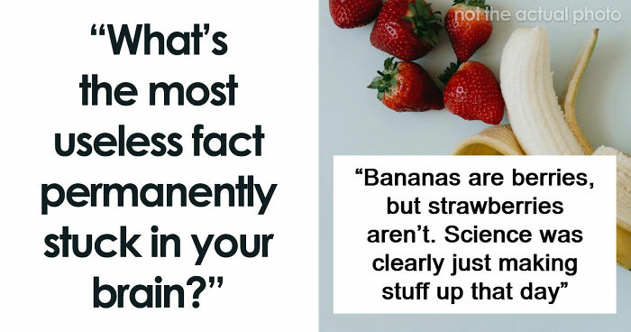 47 Random Facts People Somehow Memorized Forever