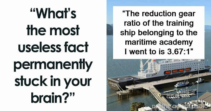 47 Random Facts People Somehow Memorized Forever