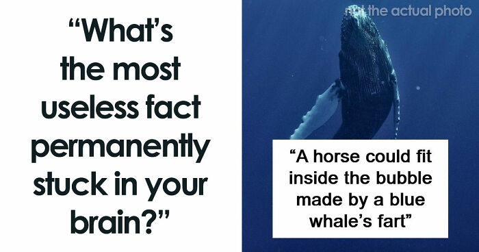 47 Random Facts People Somehow Memorized Forever