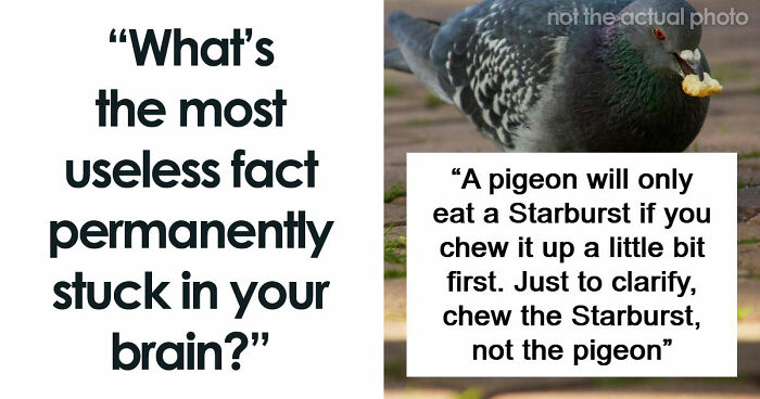 47 Random Facts People Somehow Memorized Forever