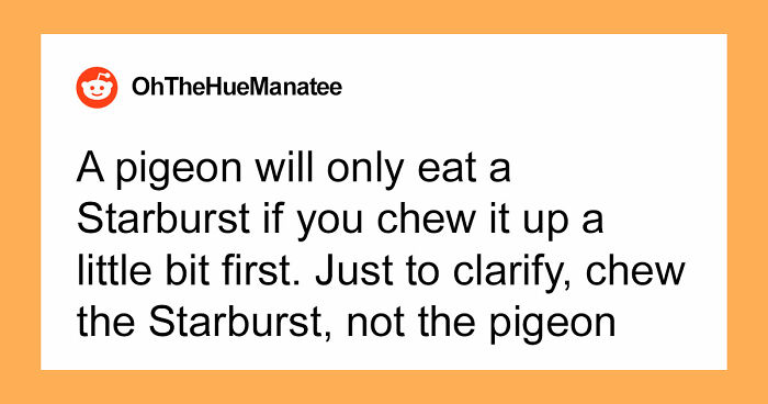 47 Random Facts People Somehow Memorized Forever