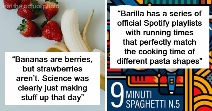 47 Random Facts People Somehow Memorized Forever