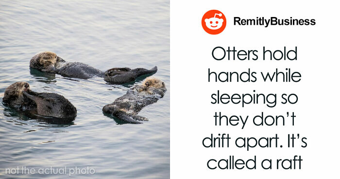 47 Random Facts People Somehow Memorized Forever