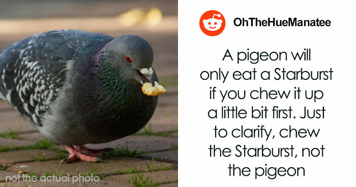 47 Random Facts People Somehow Memorized Forever