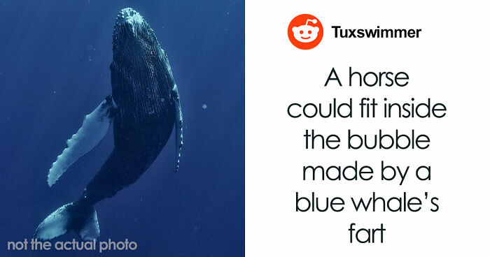 47 Random Facts People Somehow Memorized Forever