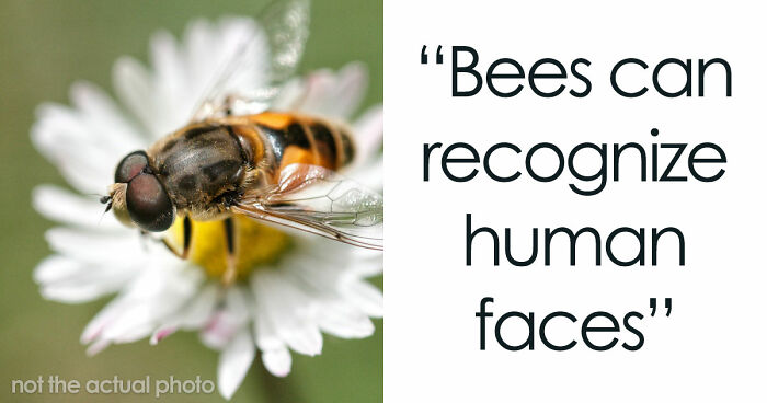47 Random Facts People Somehow Memorized Forever
