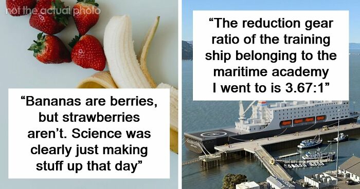 47 Random Facts People Somehow Memorized Forever