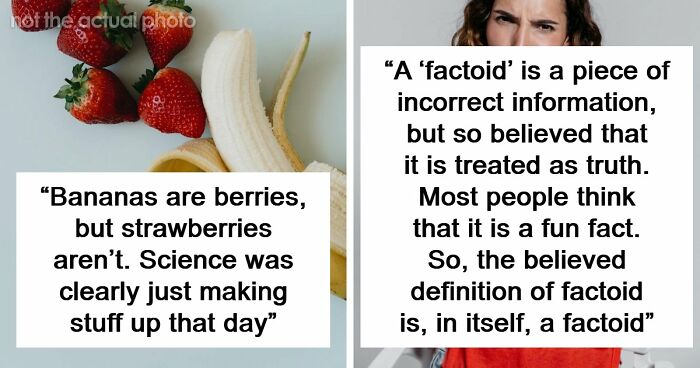 47 Random Facts People Somehow Memorized Forever