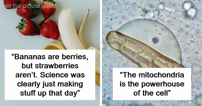 47 Random Facts People Somehow Memorized Forever