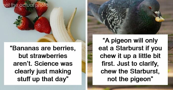 47 Random Facts People Somehow Memorized Forever