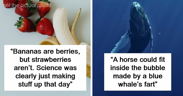 47 Random Facts People Somehow Memorized Forever