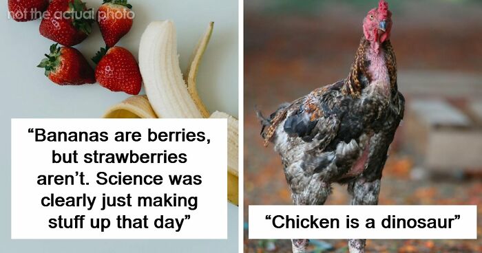 47 Random Facts People Somehow Memorized Forever