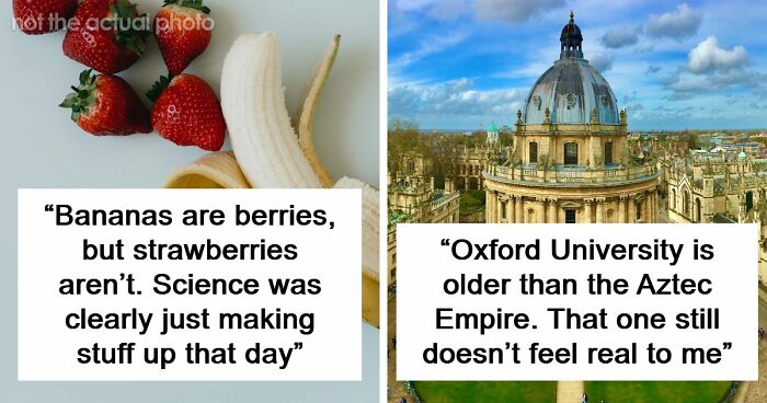 47 Random Facts People Somehow Memorized Forever
