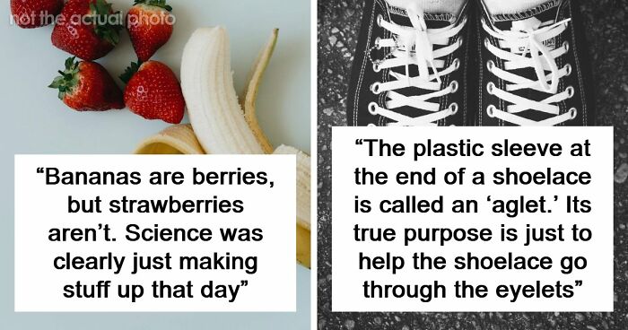 47 Random Facts People Somehow Memorized Forever