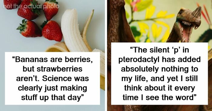 47 Random Facts People Somehow Memorized Forever