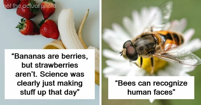 47 Random Facts People Somehow Memorized Forever