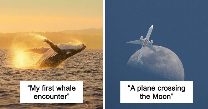 83 Satisfying Pictures That Feel Like A Gentle Reset Button For Your Day