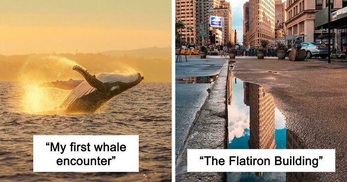 83 Satisfying Pictures That Feel Like A Gentle Reset Button For Your Day