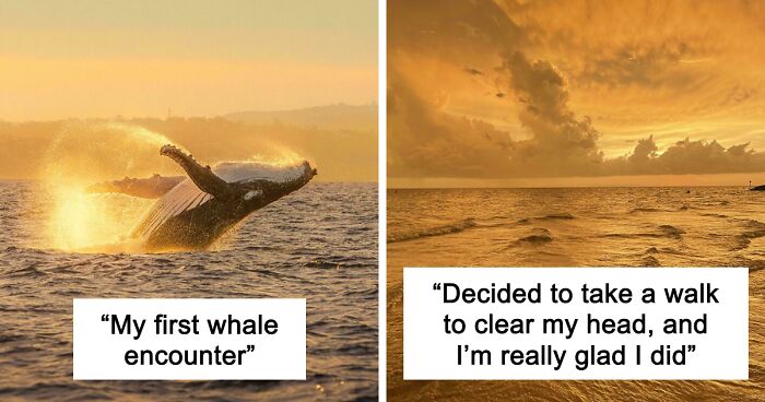 83 Satisfying Pictures That Feel Like A Gentle Reset Button For Your Day
