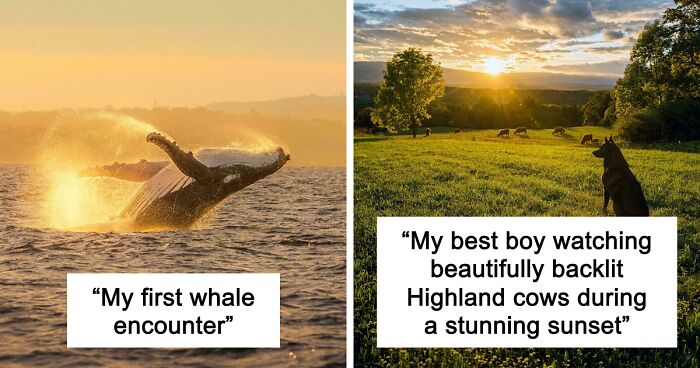 83 Satisfying Pictures That Feel Like A Gentle Reset Button For Your Day