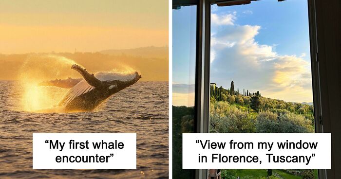 83 Satisfying Pictures That Feel Like A Gentle Reset Button For Your Day
