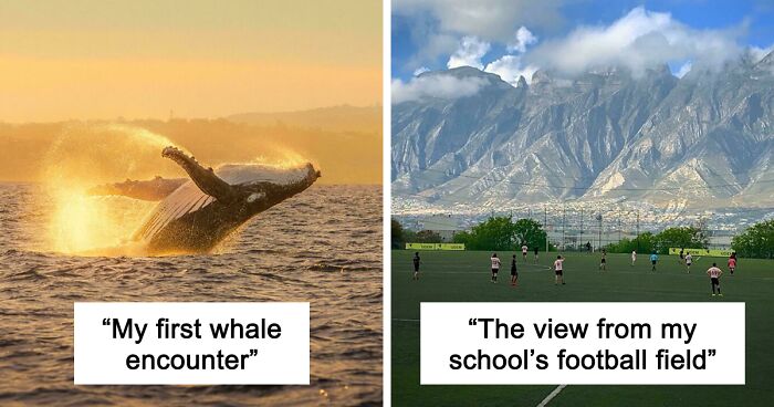 83 Satisfying Pictures That Feel Like A Gentle Reset Button For Your Day