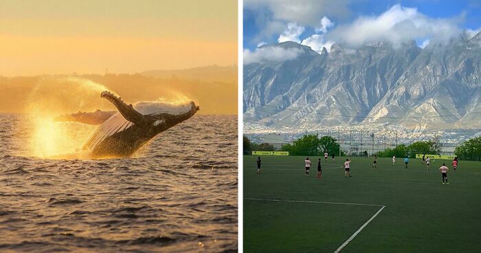 83 Satisfying Pictures That Feel Like A Gentle Reset Button For Your Day