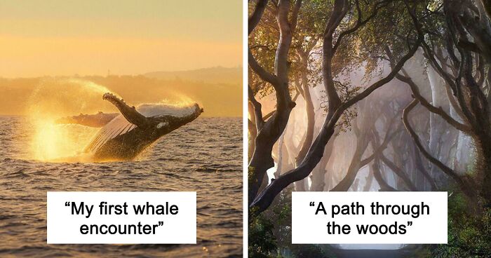 83 Satisfying Pictures That Feel Like A Gentle Reset Button For Your Day