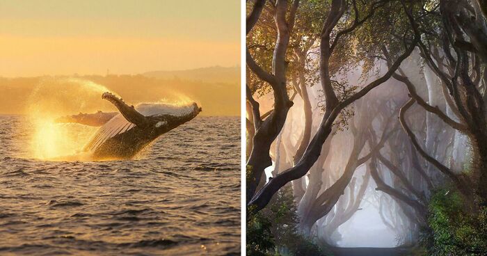 83 Satisfying Pictures That Feel Like A Gentle Reset Button For Your Day