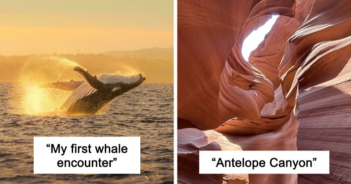 83 Satisfying Pictures That Feel Like A Gentle Reset Button For Your Day