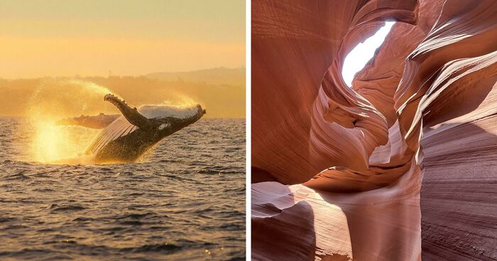83 Satisfying Pictures That Feel Like A Gentle Reset Button For Your Day
