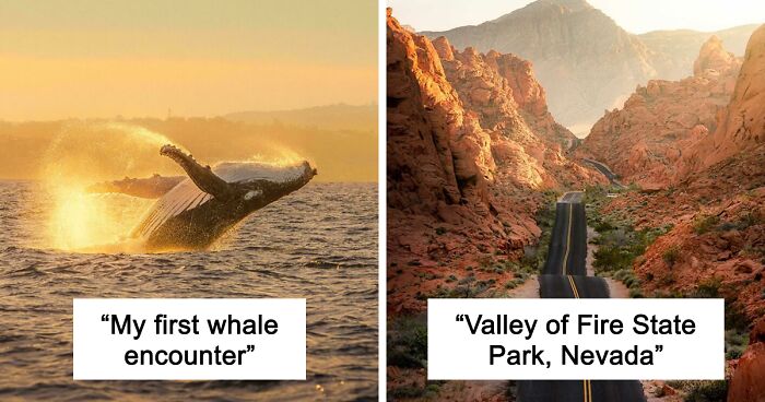 83 Satisfying Pictures That Feel Like A Gentle Reset Button For Your Day