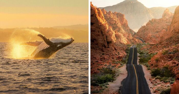 83 Satisfying Pictures That Feel Like A Gentle Reset Button For Your Day