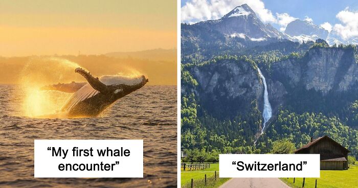 83 Satisfying Pictures That Feel Like A Gentle Reset Button For Your Day