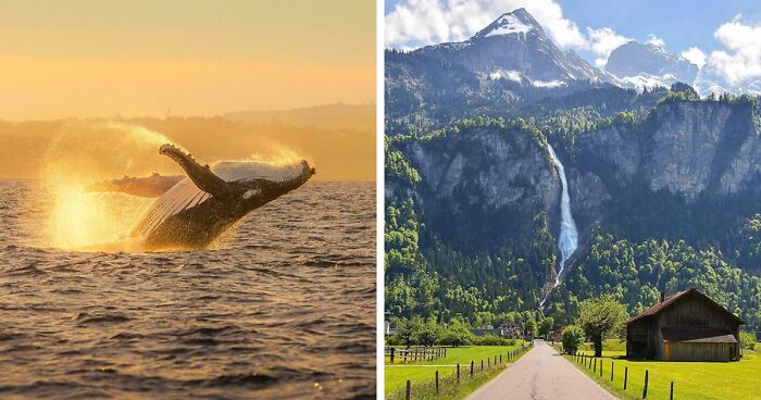 83 Satisfying Pictures That Feel Like A Gentle Reset Button For Your Day