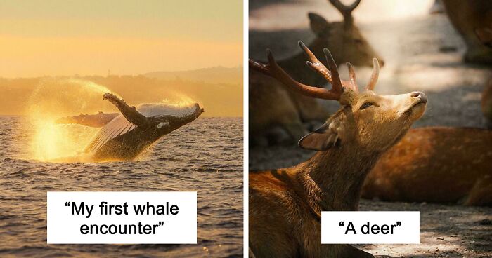 83 Satisfying Pictures That Feel Like A Gentle Reset Button For Your Day