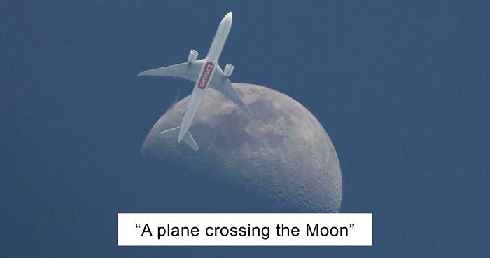 83 Satisfying Pictures That Feel Like A Gentle Reset Button For Your Day